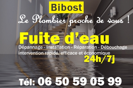 fuite Bibost - fuite d'eau Bibost - fuite wc Bibost - recherche de fuite Bibost - détection de fuite Bibost - dépannage fuite Bibost