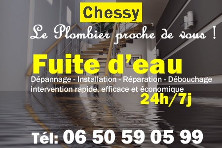 fuite Chessy - fuite d'eau Chessy - fuite wc Chessy - recherche de fuite Chessy - détection de fuite Chessy - dépannage fuite Chessy