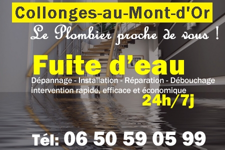 fuite Collonges-au-Mont-d'Or - fuite d'eau Collonges-au-Mont-d'Or - fuite wc Collonges-au-Mont-d'Or - recherche de fuite Collonges-au-Mont-d'Or - détection de fuite Collonges-au-Mont-d'Or - dépannage fuite Collonges-au-Mont-d'Or