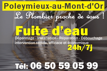 fuite Poleymieux-au-Mont-d'Or - fuite d'eau Poleymieux-au-Mont-d'Or - fuite wc Poleymieux-au-Mont-d'Or - recherche de fuite Poleymieux-au-Mont-d'Or - détection de fuite Poleymieux-au-Mont-d'Or - dépannage fuite Poleymieux-au-Mont-d'Or