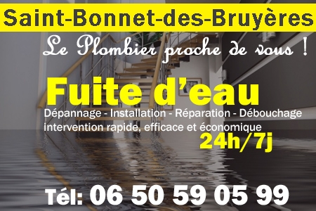 fuite Saint-Bonnet-des-Bruyères - fuite d'eau Saint-Bonnet-des-Bruyères - fuite wc Saint-Bonnet-des-Bruyères - recherche de fuite Saint-Bonnet-des-Bruyères - détection de fuite Saint-Bonnet-des-Bruyères - dépannage fuite Saint-Bonnet-des-Bruyères