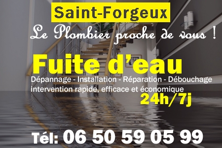 fuite Saint-Forgeux - fuite d'eau Saint-Forgeux - fuite wc Saint-Forgeux - recherche de fuite Saint-Forgeux - détection de fuite Saint-Forgeux - dépannage fuite Saint-Forgeux