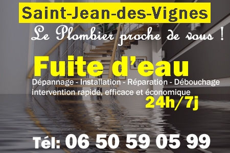 fuite Saint-Jean-des-Vignes - fuite d'eau Saint-Jean-des-Vignes - fuite wc Saint-Jean-des-Vignes - recherche de fuite Saint-Jean-des-Vignes - détection de fuite Saint-Jean-des-Vignes - dépannage fuite Saint-Jean-des-Vignes