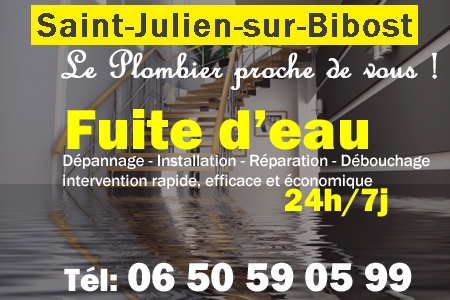 fuite Saint-Julien-sur-Bibost - fuite d'eau Saint-Julien-sur-Bibost - fuite wc Saint-Julien-sur-Bibost - recherche de fuite Saint-Julien-sur-Bibost - détection de fuite Saint-Julien-sur-Bibost - dépannage fuite Saint-Julien-sur-Bibost